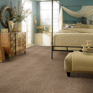 Selected Color in a room